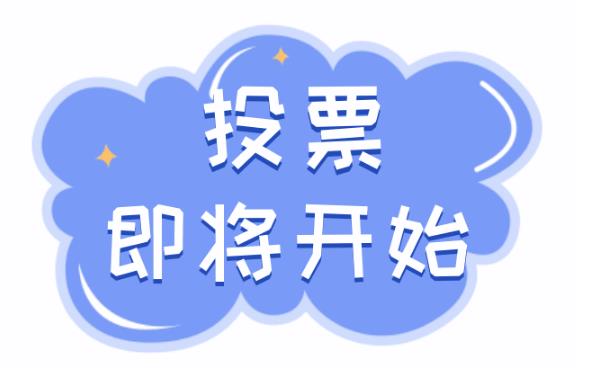 人工投票什么价-人工投票网-专业人工投票团队